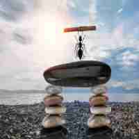 高‌级‌关​键﻿词‌趋‍势‌系‍统‌